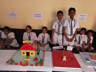 R.S.M Convent School