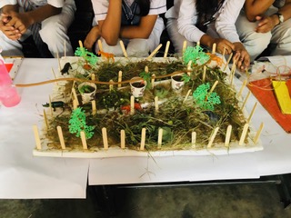 R.S.M Convent School