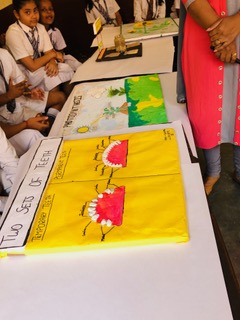 R.S.M Convent School